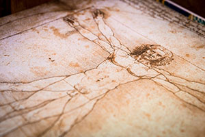 Leonardo Da Vinci drawing of Human anatomy