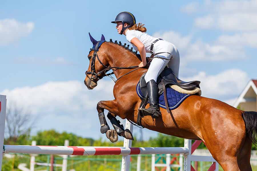 Horse and rider jumping over a bar in show jumping