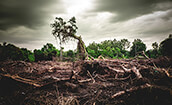 Environmental - the 'E' in ESG Environmental - the 'E' in ESG