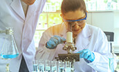 Sector Sector