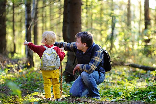 Father and child in forest image