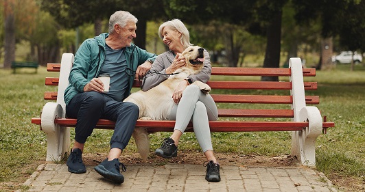 a happy old couple sitting on a park bench with a golden retriever lying across their laps