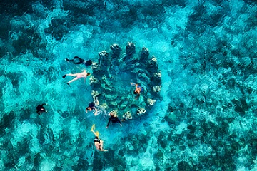 birds-eye view of people snorkeling in the sea