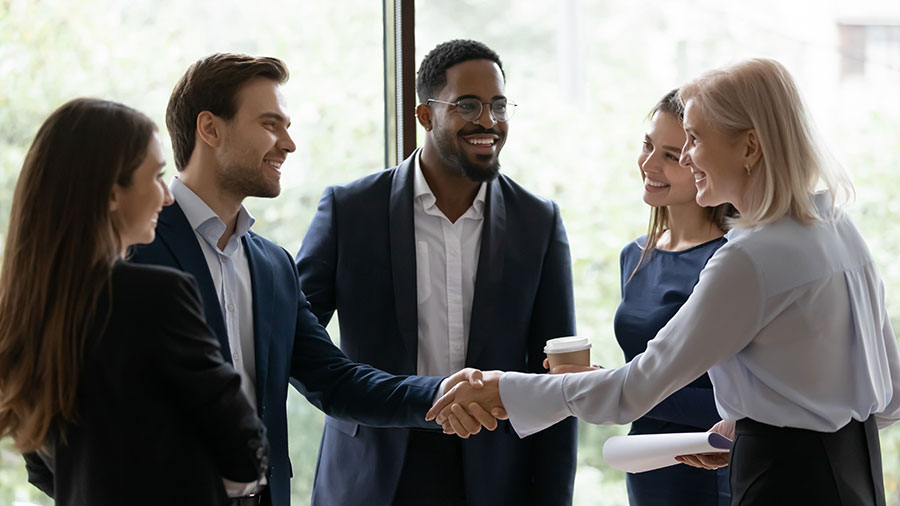 Business people in suits shaking hands and looking plummy