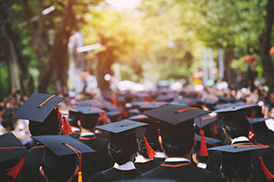 A tree lined avenue filled with people wearing graduation caps