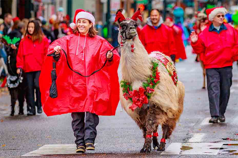 Macy parade