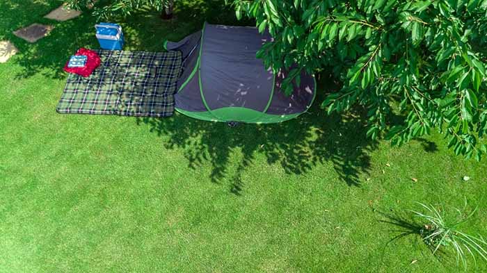 Back garden camping/dens