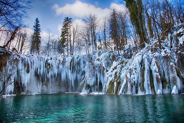 trees covered in snow at the side of a river, which is very blue.